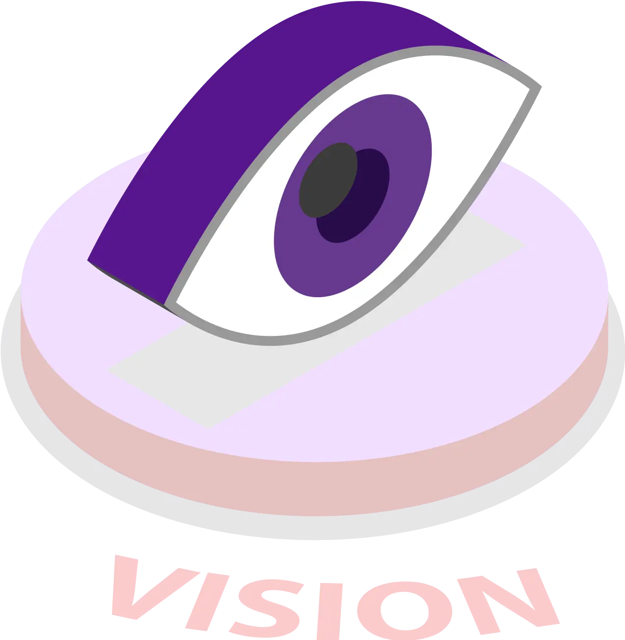 Vision